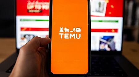 Temu Faces Second EU Probe for Misleading Sales Practices