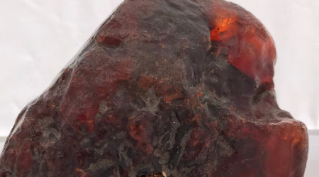 Elderly Woman Had No Clue Her Door Stop Was Actually A 34 Million-Year-Old Piece Of Amber Worth $1.1 Million