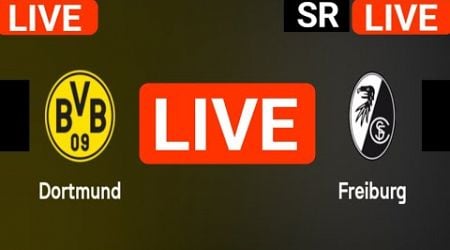 Borussia Dortmund vs Freiburg live match today score updates | Bundesliga live score