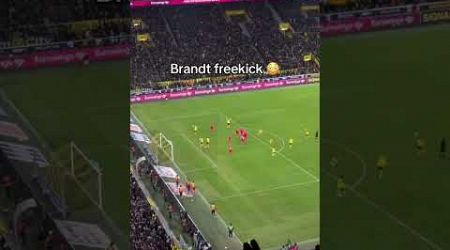 Julian Brandt freekick Goal Dortmund vs Freiburg #dortmund #bvb #goal #brandt #bundesliga #football