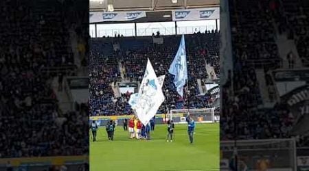 #shorts #tsghoffenheim #bundesliga TSG Hoffenheim-RB Leipzig 23.11.2024