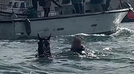 British holidaymaker's strange sight' as man rides swimming horse in sea next to boat