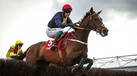 Punchestown tips: Peter O'Hehir's selections as Fastorslow and Galopin Des Champs clash again 