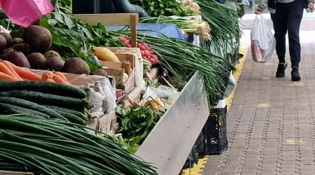 Wholesale Prices of Most Basic Foods, Fruits and Vegetables Rise in a Week