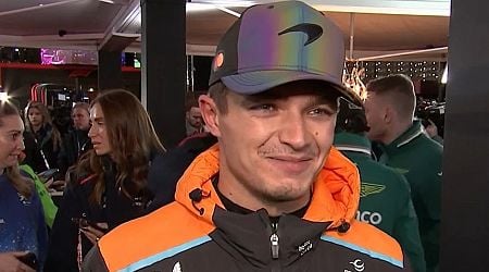 Lando Norris reaction says it all as Max Verstappen secures F1 title at Las Vegas GP