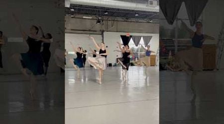 French Divertissement | Beyond the Nutcracker #ballet #chicago #performance