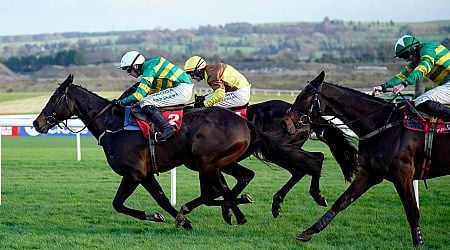 Fact To File leads home a JP McManus 1-2 as young guns rule John Durkan at Punchestown 