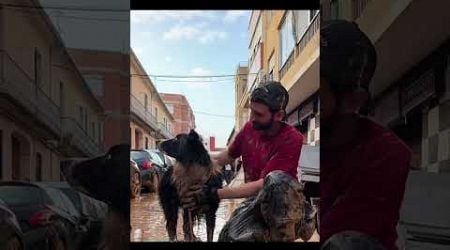 Volunteers from the flooded village of DANA in Valencia Spain #shorts