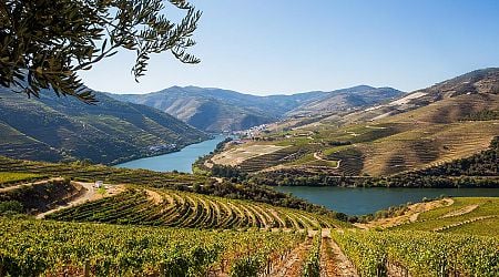 Les vins du Douro visent les sommets