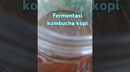 PENASARAN!! KOPI DIBIKIN KOMBUCHA??#shorts #kombucha #,koffucha