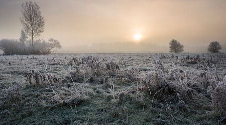 Ireland weather: Met Eireann warns of frost, fog and thunderstorms as temperatures plunge again