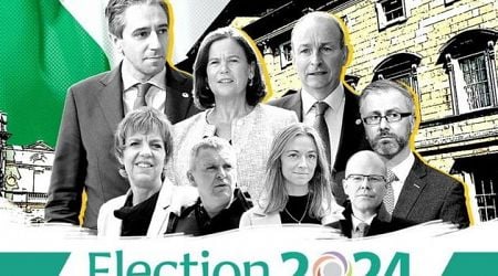 Election 2024 Day 18: Fine Gael support slumps in polls with days to go before Election 2024