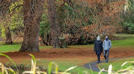 Ireland weather: Storm Bert clean-up continues as more moderate wind and rain forecast