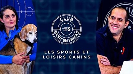 CLUB SPORT EN FRANCE - Les sports et loisirs canins (S6 E2)