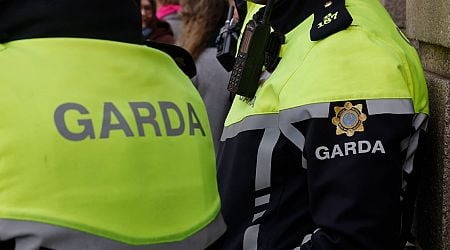 Two arrested in connection with discovery of body in Wexford