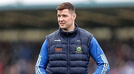 Tipperary legend joins Offaly hurling backroom team 