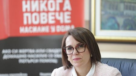 Ministry of Interior Registers Permanent Tendency of Increasing Cases of Domestic Violence