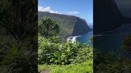 Waipio Valley the Garden of Eden as explained by Kaleo Kai