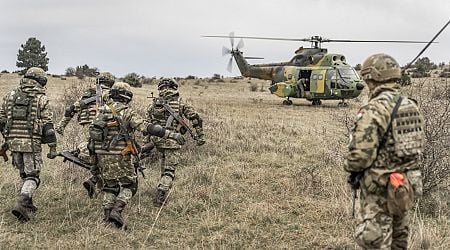 Hungarian-Romanian Peacekeeping Battalion Completes Intensive Exercise