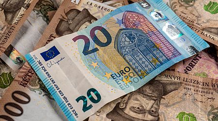 Hungarian forint hits new 2-year low against the euro, attempts to recover