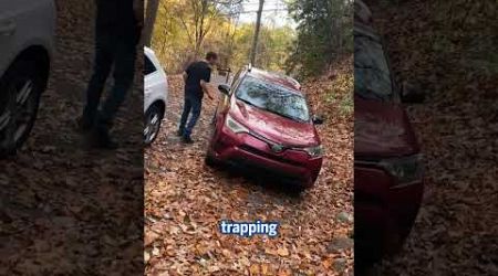 Terrifying moment creeping black bear gets in family&#39;s car