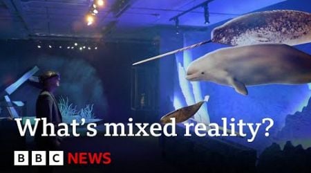 What a &#39;mixed reality&#39; experience tells us about the future of the natural world | BBC News