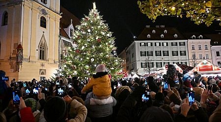 Prices of Christmas market delicacies up compared to last year