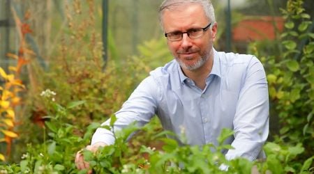 John Downing: Mere mention of the Green Party in rural Ireland is enough to turn air blue, so a rethink is badly needed