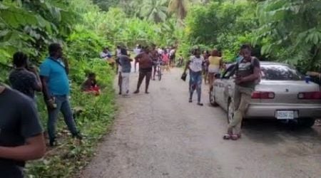 bloodshed in the community of Spanish town st Catherine