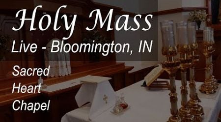 Live Mass &amp; Rosary - St Catherine of Alexandria - 7 AM - Mon - Nov 25