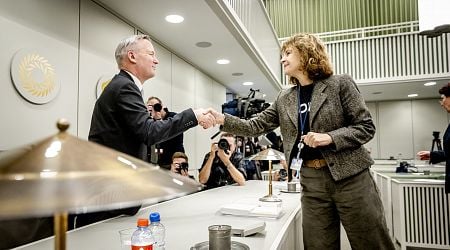 VVD Senate leader Edith Schippers quits to focus on CEO role