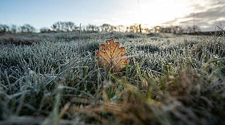 Ireland weather: Met Eireann confirms temperatures will drop to -3C before big change