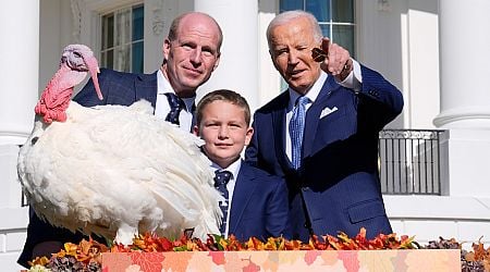 Bidens' last holiday season in the White House: Turkey pardon and tree lighting