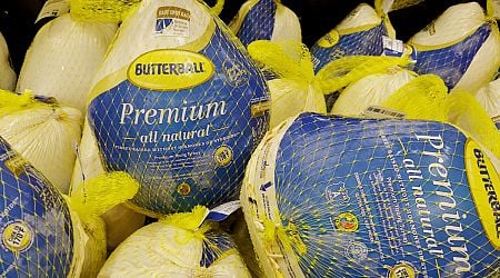 Butterball under fire after PETA's undercover video exposes horrific turkey abuse