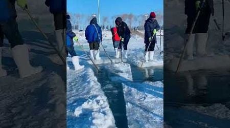 Ice Farming in Norway #iceland