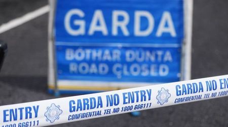 Man arrested after man (50s) dies in hit-and-run in Limerick city