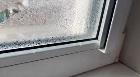 Stell es auf das Fensterbrett. Keine beschlagenen Fenster mehr im Winter!