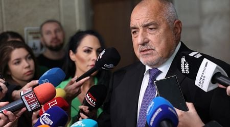 GERB-UDF to Submit Questions to Constitutional Court, Borissov Says