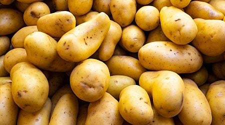 We Asked 3 Farmers How to Pick Out the Best Potatoes, and They All Said the Same Thing