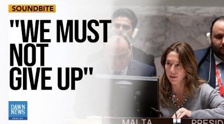 Malta Envoy Says Veto Once Again Prevented UNSC From Ensuring International Peace |Dawn News English