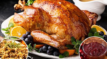 The healthiest Thanksgiving foods, according to a dietitian nutritionist