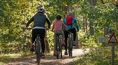 Cross-border Cycle Route Development to Start around Lake Neusiedl