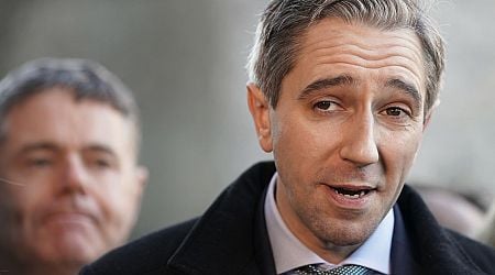 Taoiseach Simon Harris 'not sure' if he will canvass with under fire John McGahon