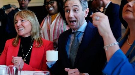 Evening Tally: Simon Harris trims his message as Fine Gael campaign bus nears end of the road