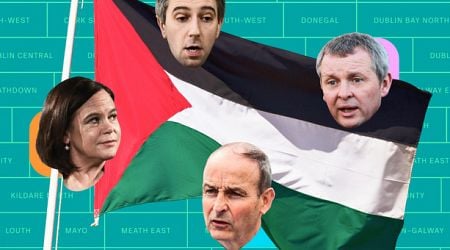 Here is where Ireland's political parties stand on Gaza