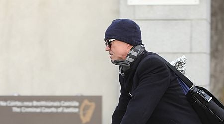 Diarmuid Phelan trial: Defence closes its case after seven weeks of evidence in murder trial of law professor