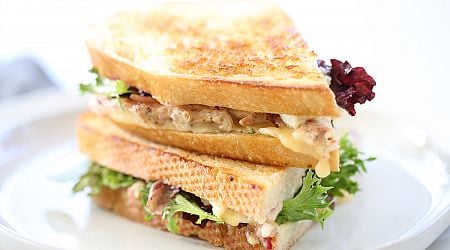 Turkey Cranberry Melt