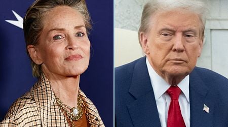 Sharon Stone Rails Against 'Uneducated' Men Over Trump Victory