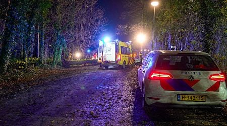 Storm Conall: Woman, 19, killed after gust topples tree, landing on Gelderland cyclist