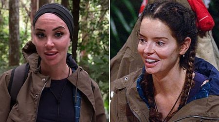 ITV I'm A Celebrity's Tulisa brands co-star Maura Higgins 'a cow' in tense moment